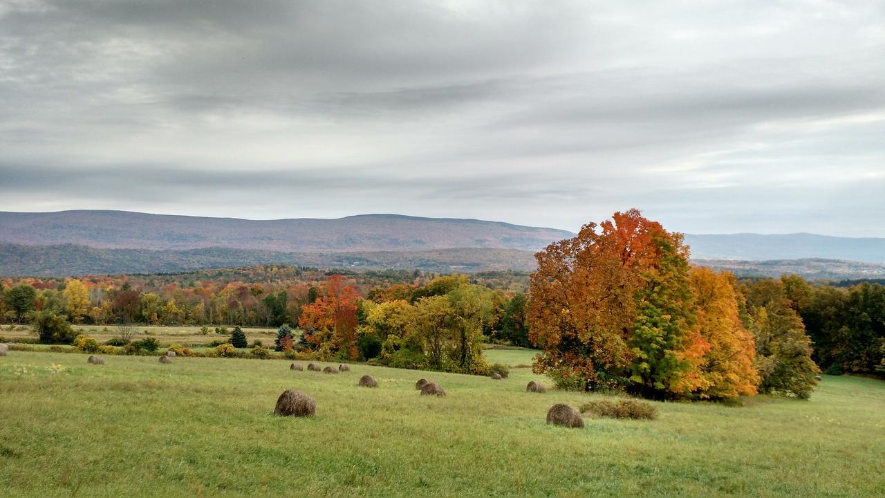 ブラトルバラ Meadowood Farm Bed & Breakfast エクステリア 写真